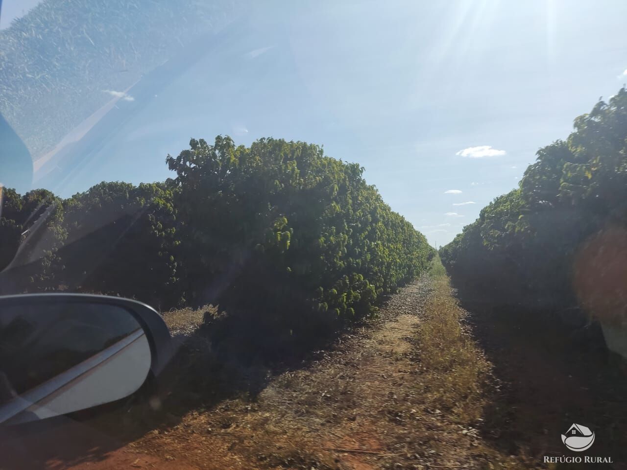 Fazenda à venda com 2 quartos, 4700000m² - Foto 17