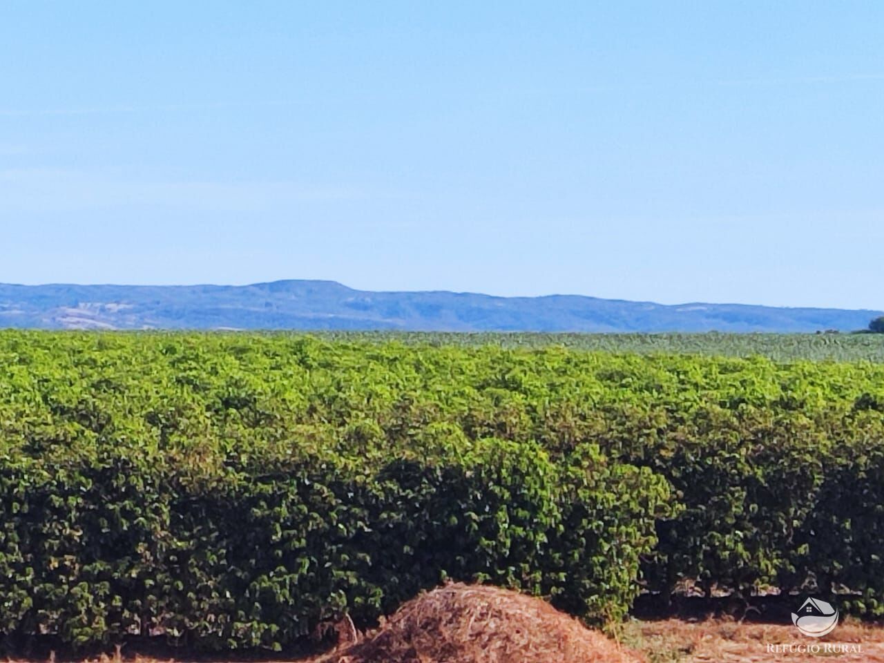 Fazenda à venda com 2 quartos, 4700000m² - Foto 5