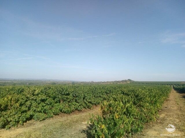 Fazenda à venda com 2 quartos, 4700000m² - Foto 4