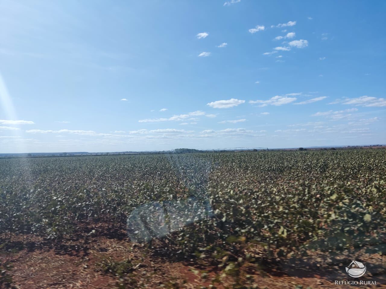 Fazenda à venda com 2 quartos, 4700000m² - Foto 16