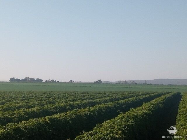 Fazenda à venda com 2 quartos, 4700000m² - Foto 6