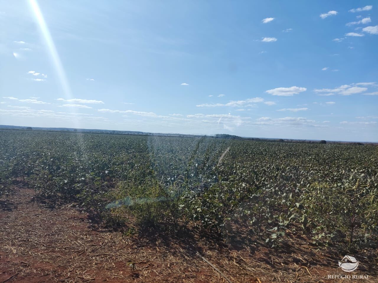 Fazenda à venda com 2 quartos, 4700000m² - Foto 11