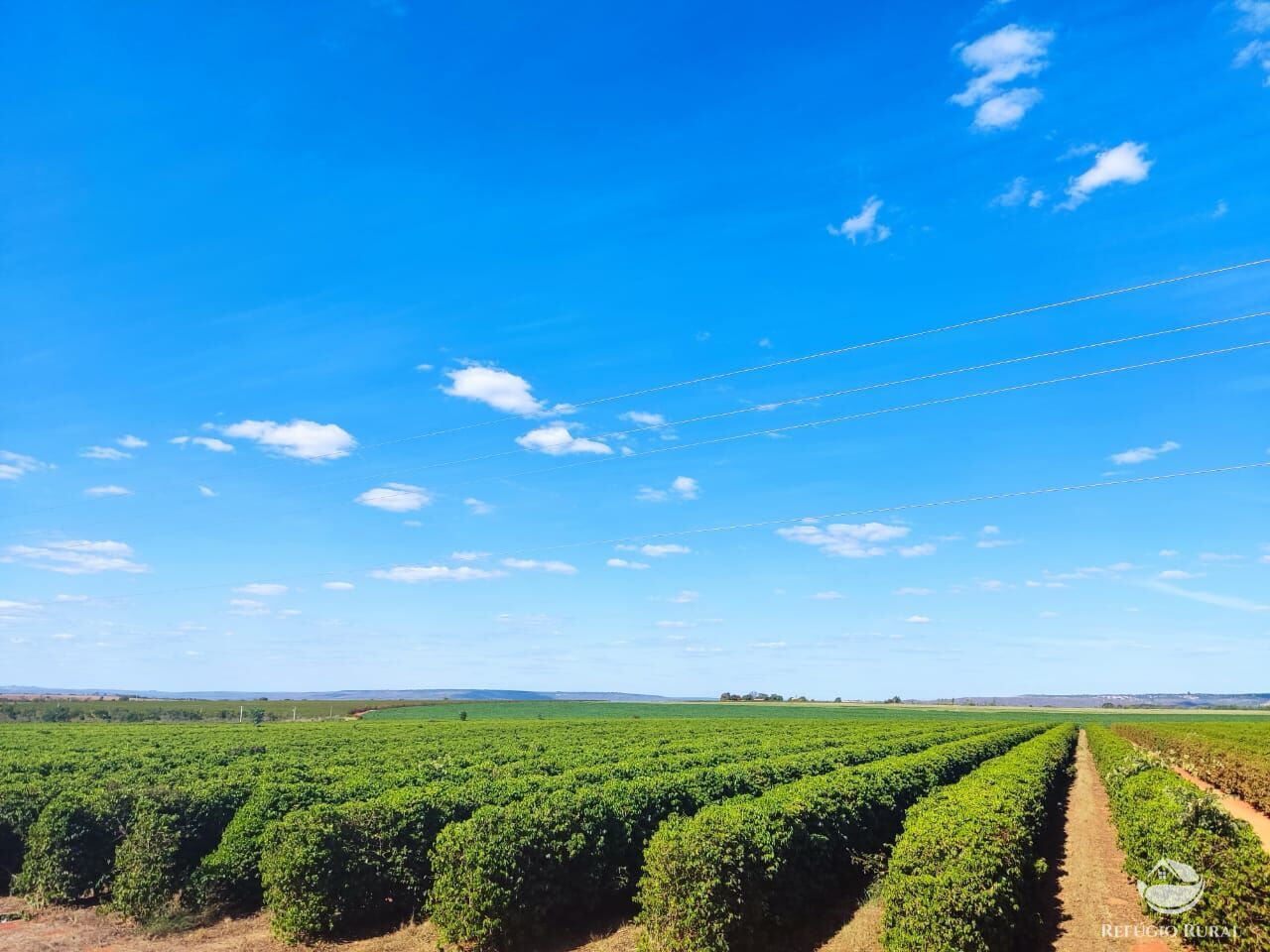 Fazenda à venda com 2 quartos, 4700000m² - Foto 1