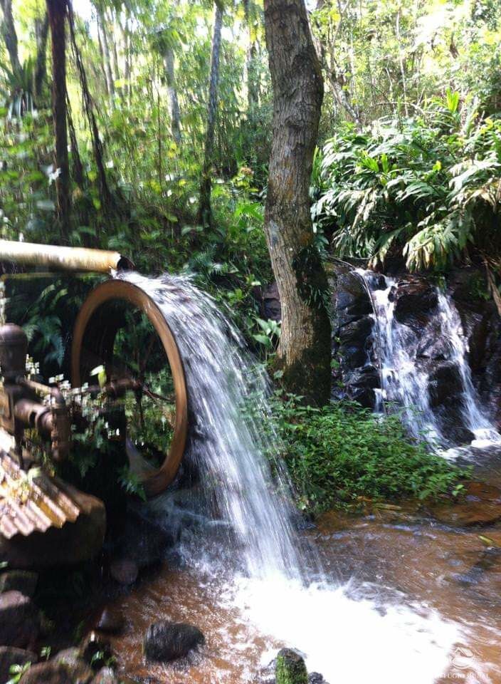 Fazenda à venda com 4 quartos, 455000m² - Foto 3