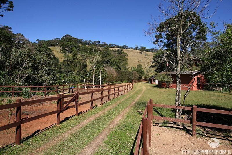 Fazenda à venda com 4 quartos, 455000m² - Foto 1