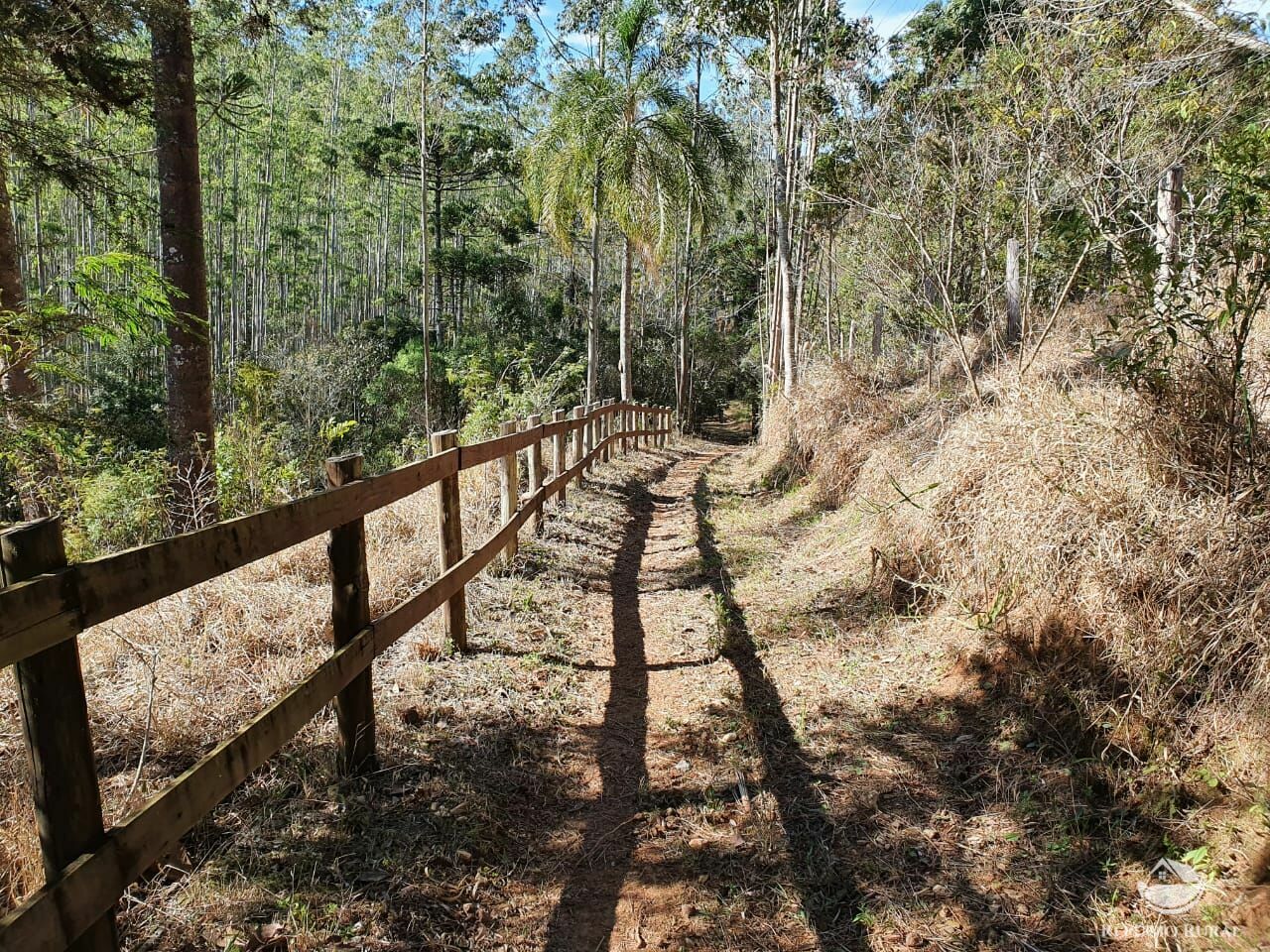 Fazenda à venda, 455000m² - Foto 2