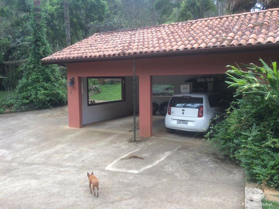 Fazenda à venda com 4 quartos, 455000m² - Foto 14