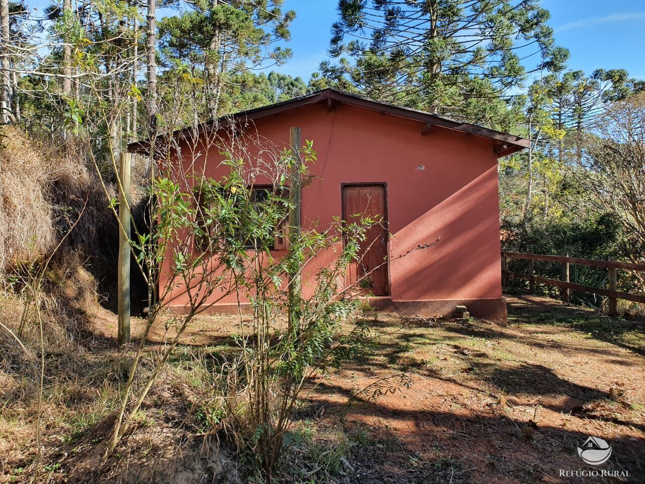 Fazenda à venda com 4 quartos, 455000m² - Foto 34