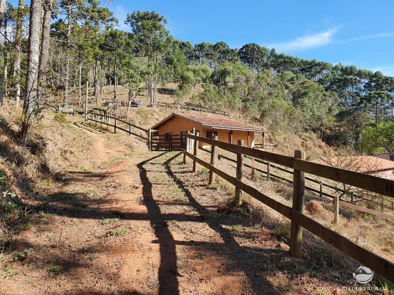 Fazenda à venda com 4 quartos, 455000m² - Foto 8