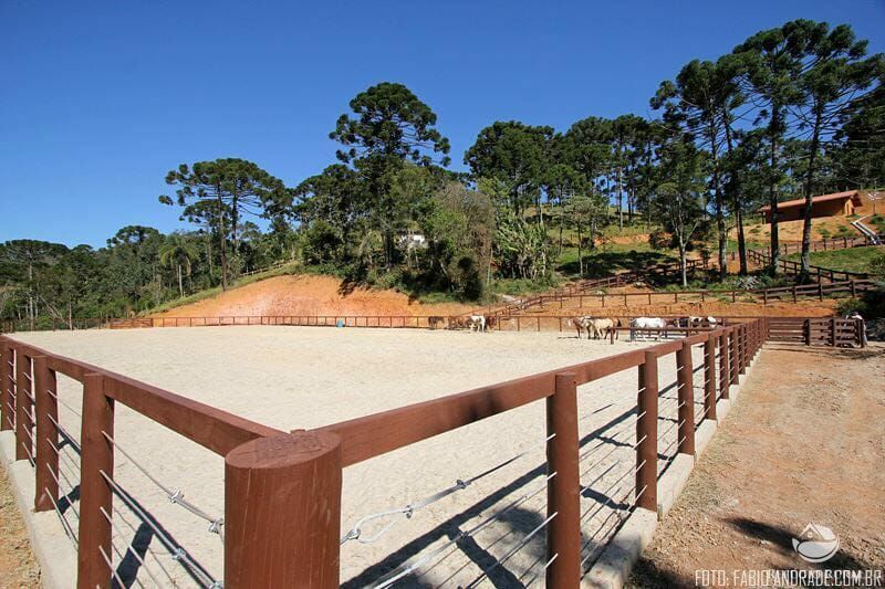 Fazenda à venda com 4 quartos, 455000m² - Foto 24