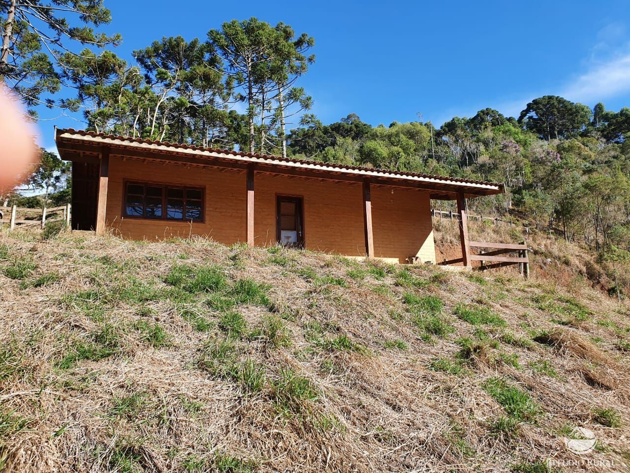 Fazenda à venda com 4 quartos, 455000m² - Foto 30