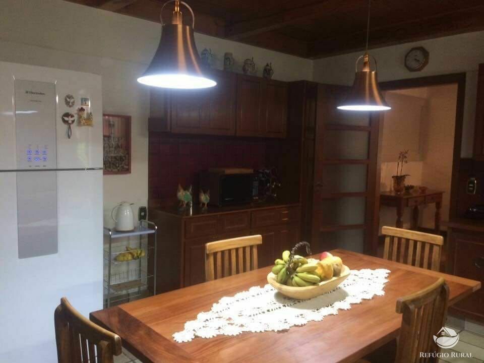 Fazenda à venda com 4 quartos, 455000m² - Foto 20