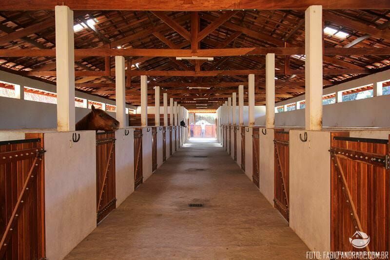 Fazenda à venda com 4 quartos, 455000m² - Foto 21