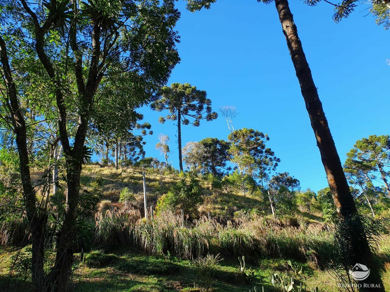 Fazenda à venda, 455000m² - Foto 6