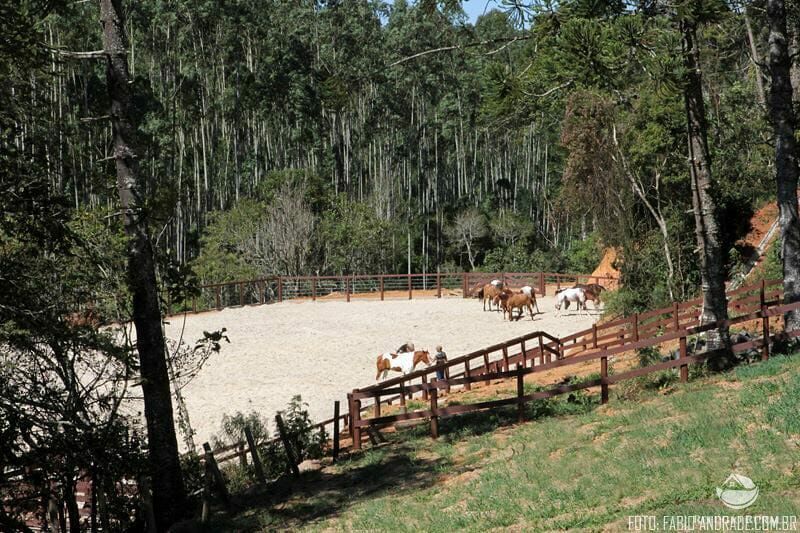 Fazenda à venda com 4 quartos, 455000m² - Foto 2