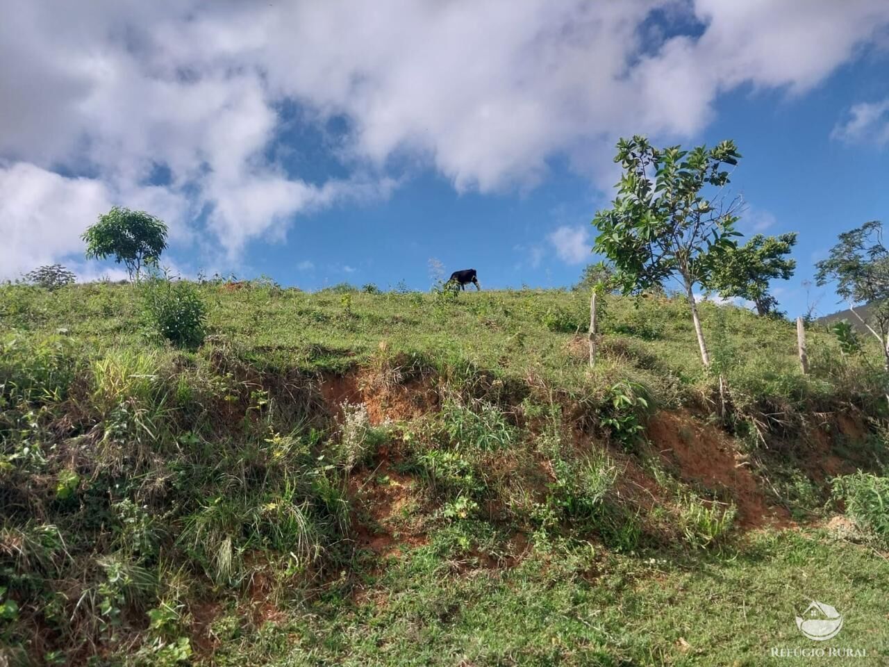 Sítio à venda com 2 quartos, 97000m² - Foto 3