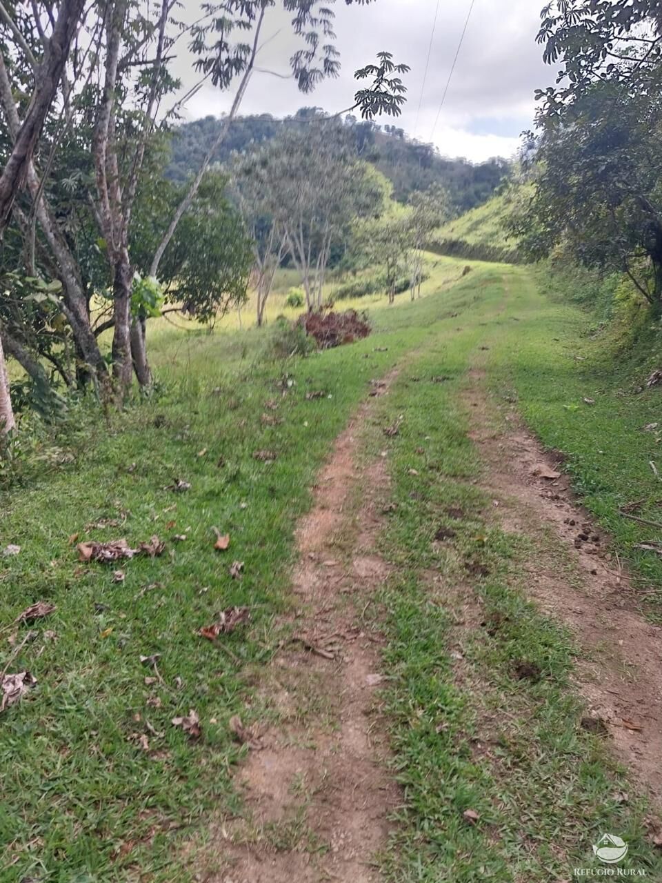 Sítio à venda com 2 quartos, 97000m² - Foto 18