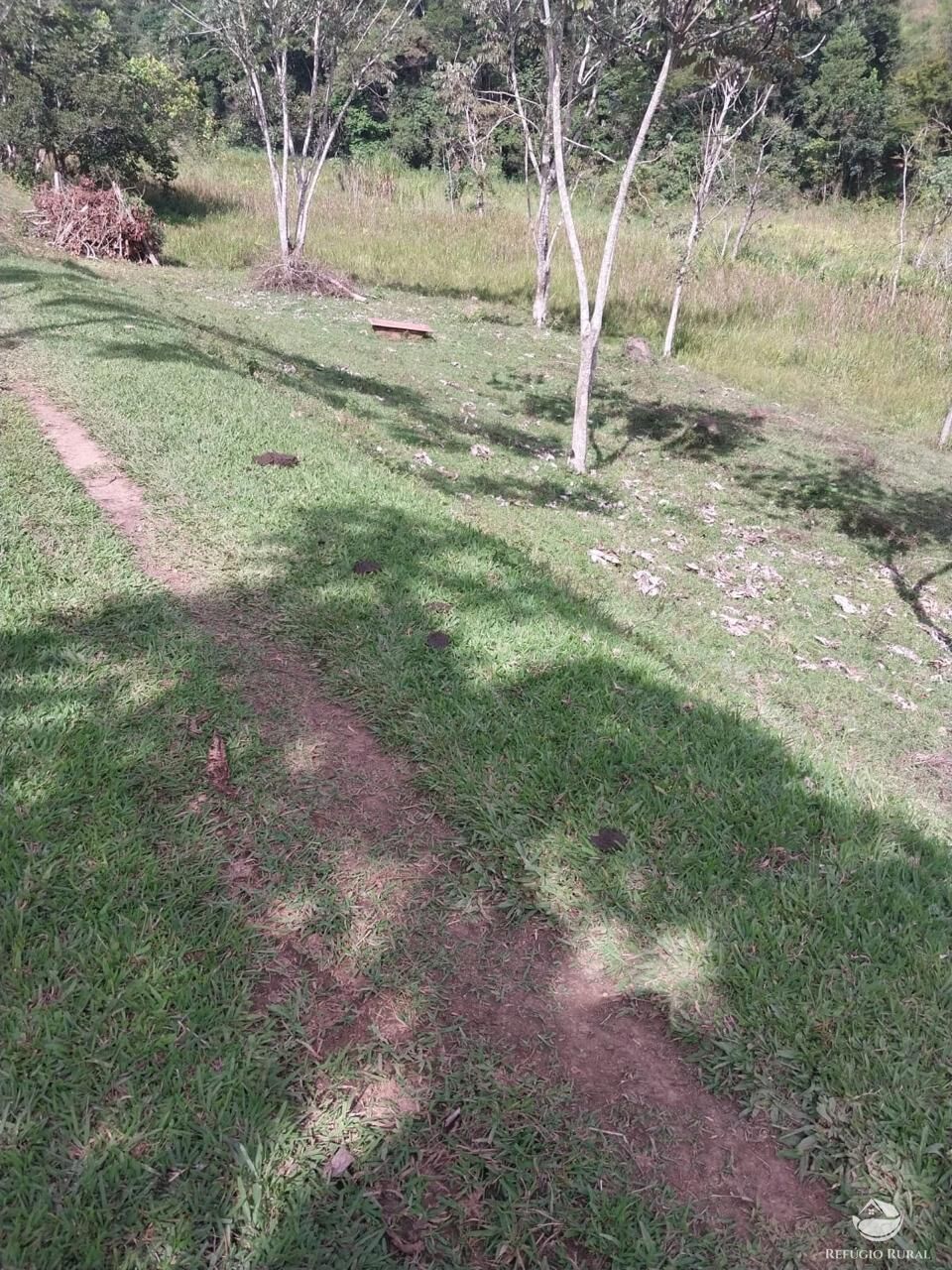 Sítio à venda com 2 quartos, 97000m² - Foto 5