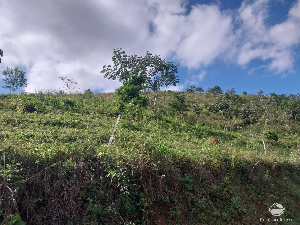 Sítio à venda com 2 quartos, 97000m² - Foto 16