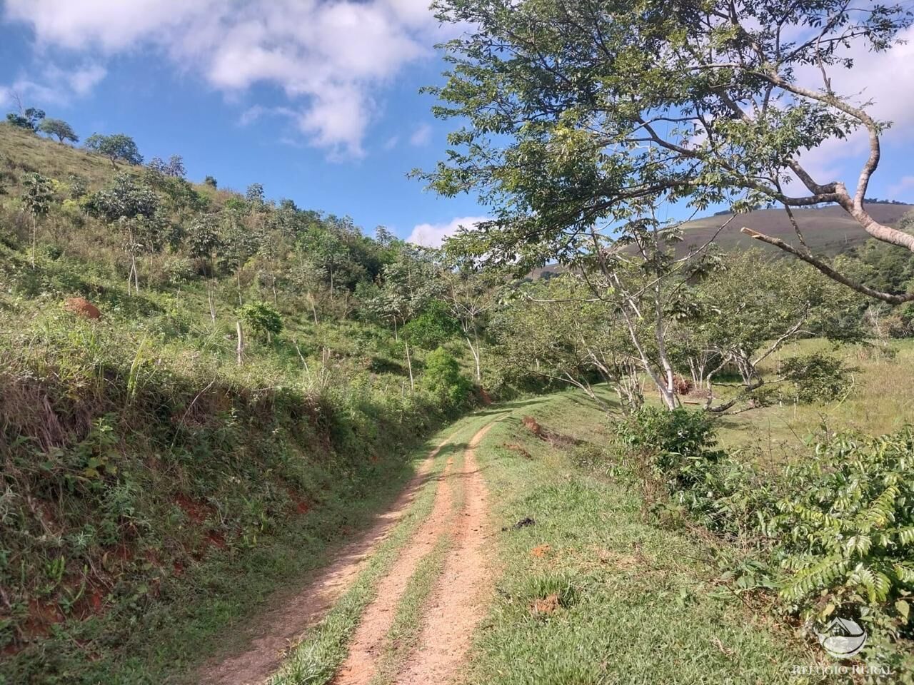 Sítio à venda com 2 quartos, 97000m² - Foto 2