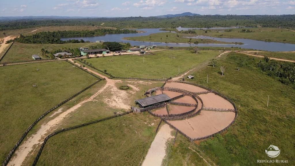 Fazenda à venda com 3 quartos, 40400000m² - Foto 17