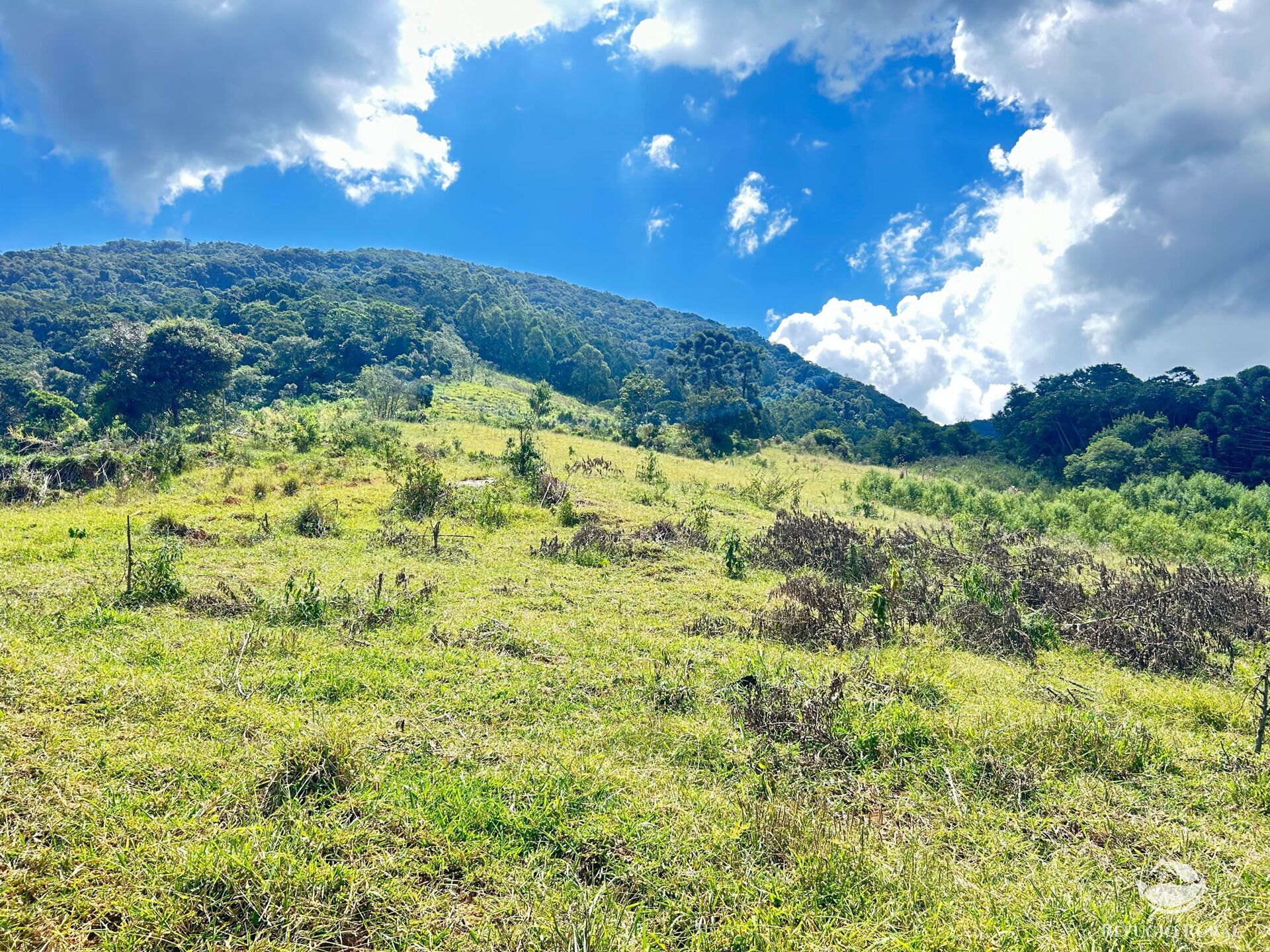 Sítio em Joanópolis/São Paulo — Ref 3RGTVL — Imagem 26
