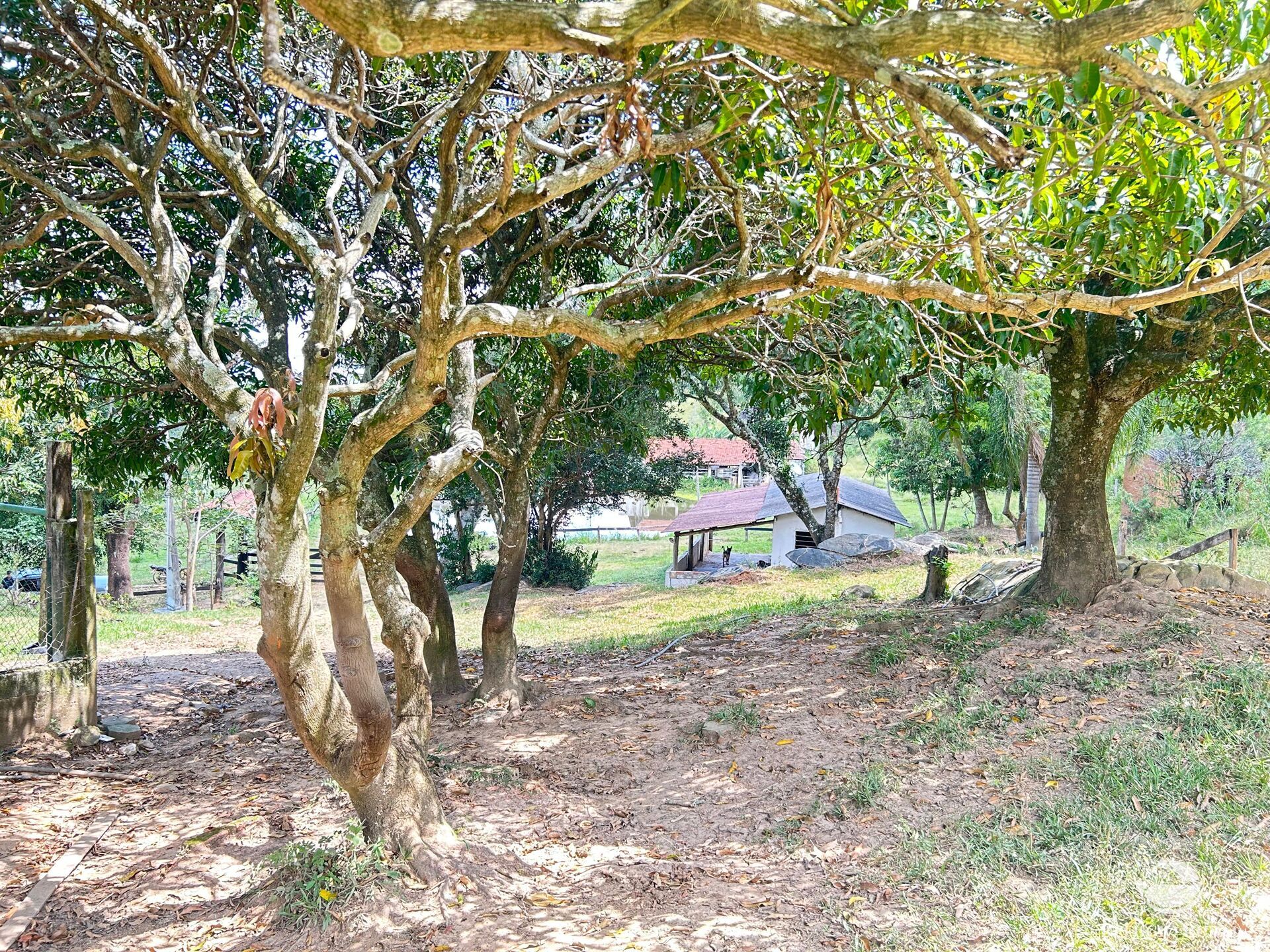 Sítio em Joanópolis/São Paulo — Ref 3RGTVL — Imagem 13