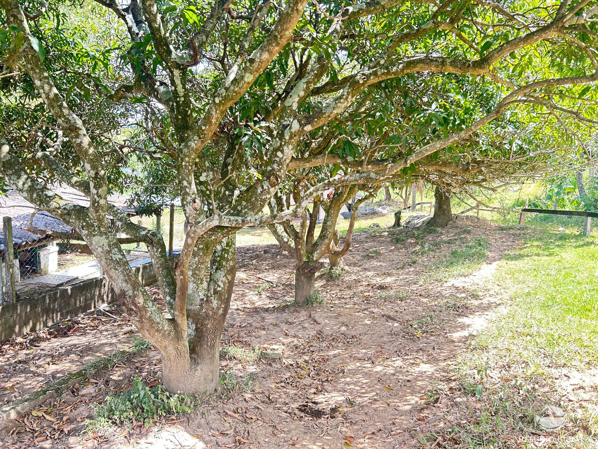 Sítio em Joanópolis/São Paulo — Ref 3RGTVL — Imagem 12