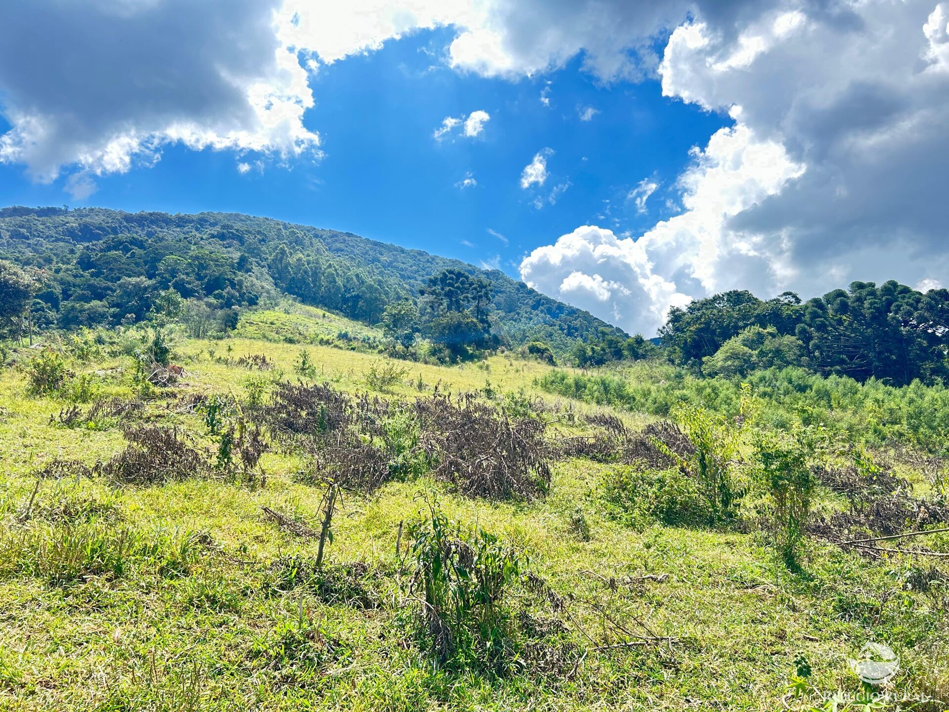 Sítio em Joanópolis/São Paulo — Ref 3RGTVL — Imagem 27