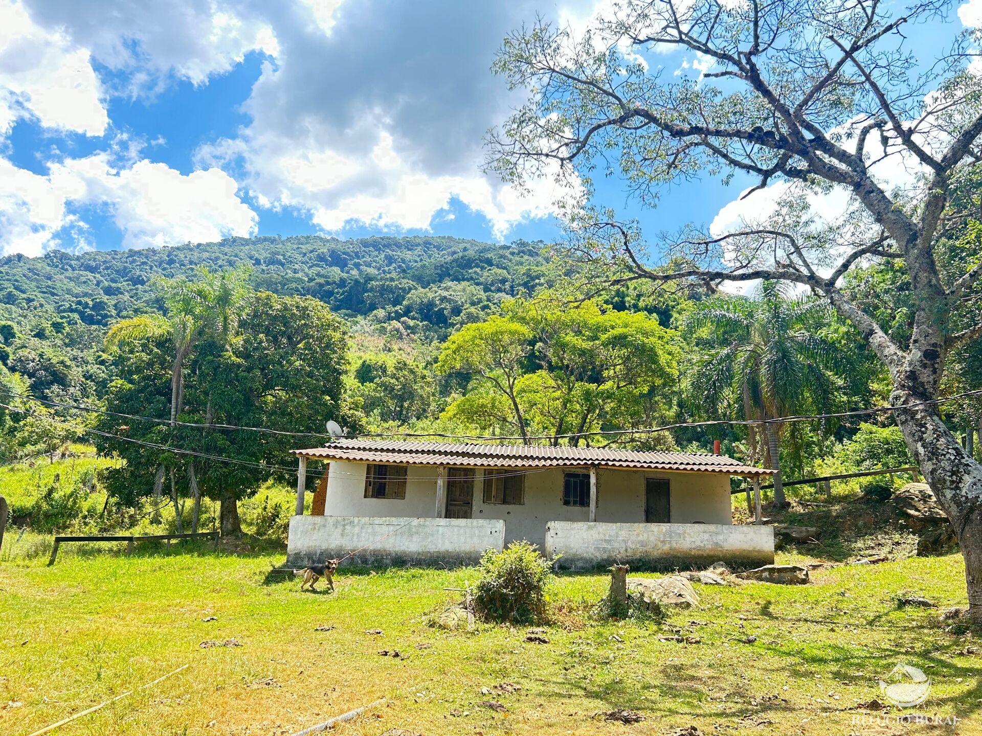 Sítio em Joanópolis/São Paulo — Ref 3RGTVL — Imagem 3
