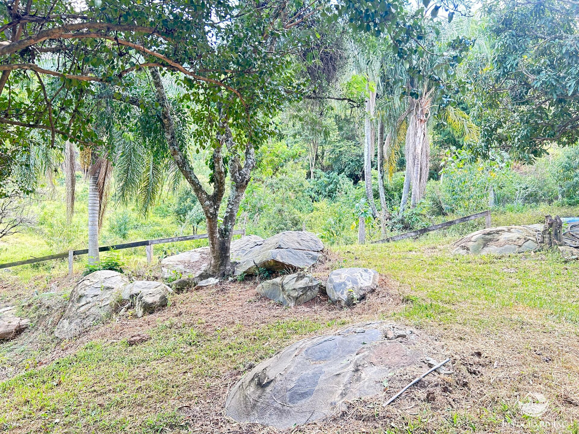 Sítio em Joanópolis/São Paulo — Ref 3RGTVL — Imagem 14