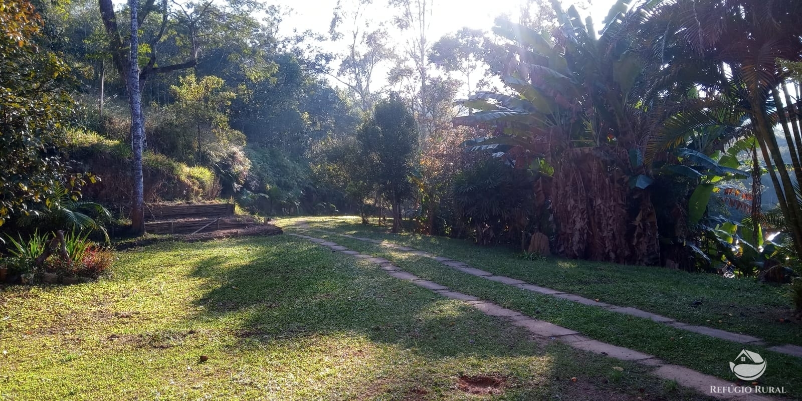 Fazenda à venda com 4 quartos, 96800m² - Foto 6