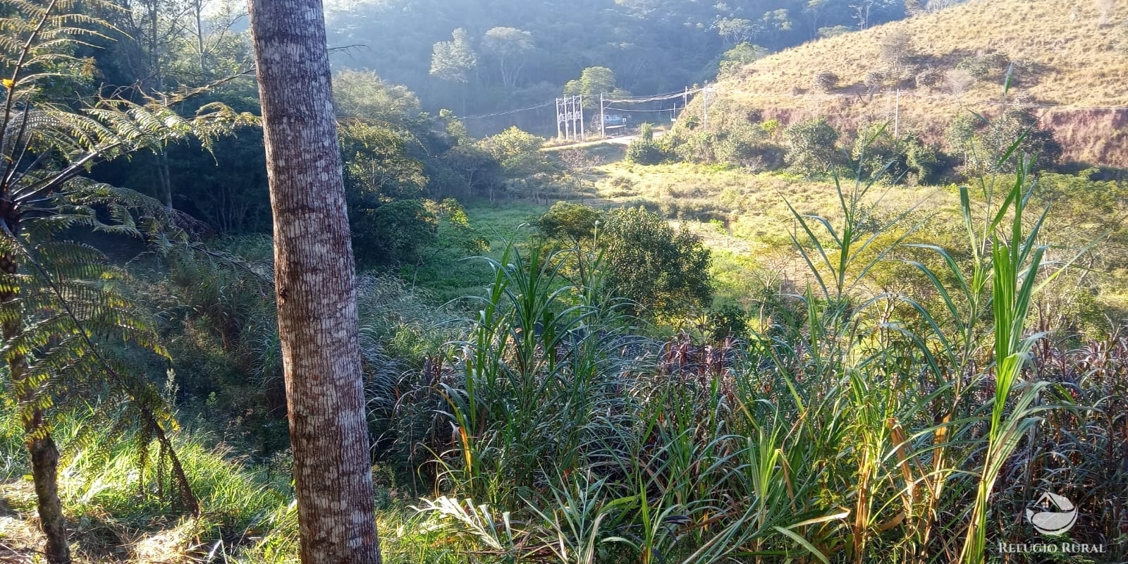 Fazenda à venda com 4 quartos, 96800m² - Foto 9