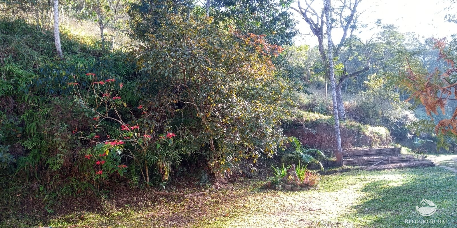 Fazenda à venda com 4 quartos, 96800m² - Foto 7