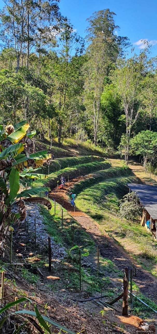 Fazenda à venda com 4 quartos, 96800m² - Foto 8