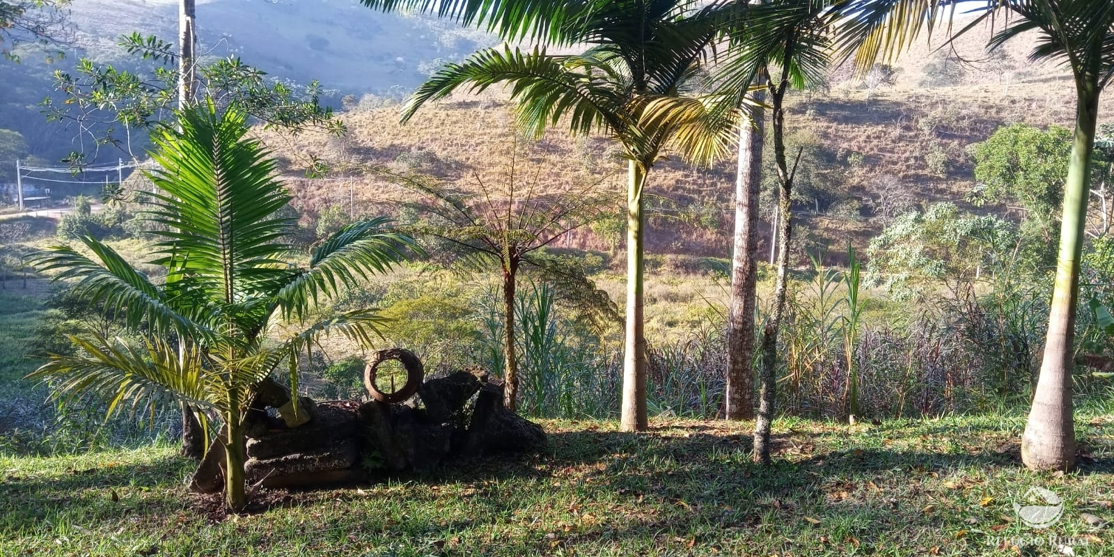 Fazenda à venda com 4 quartos, 96800m² - Foto 3