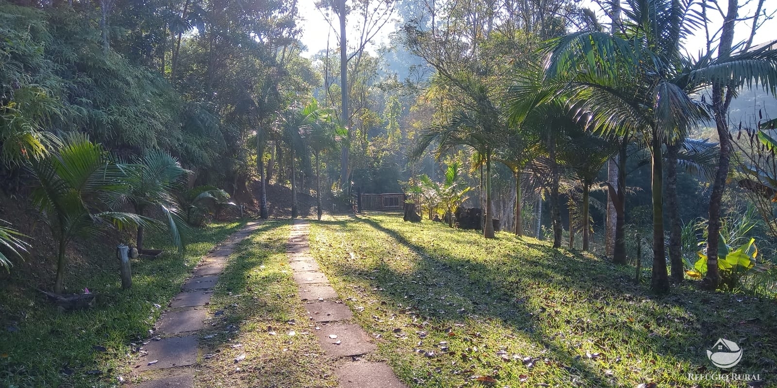 Fazenda à venda com 4 quartos, 96800m² - Foto 11