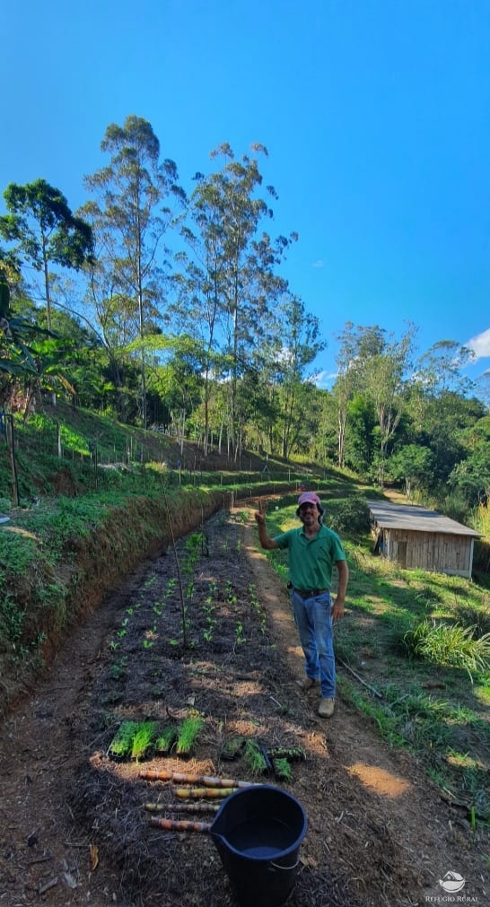 Fazenda à venda com 4 quartos, 96800m² - Foto 12