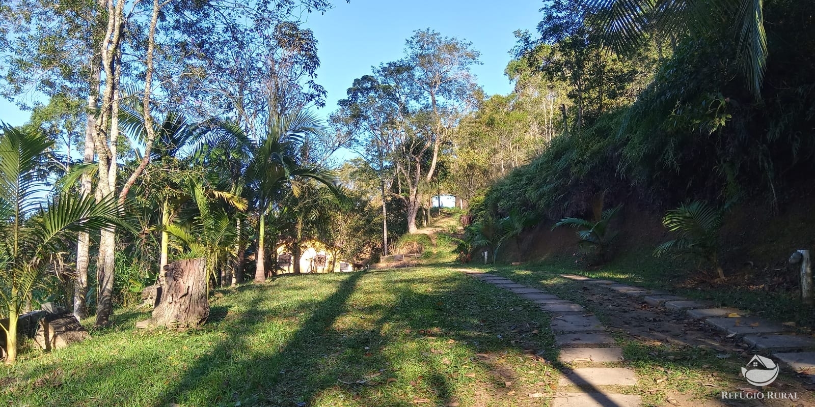 Fazenda à venda com 4 quartos, 96800m² - Foto 2