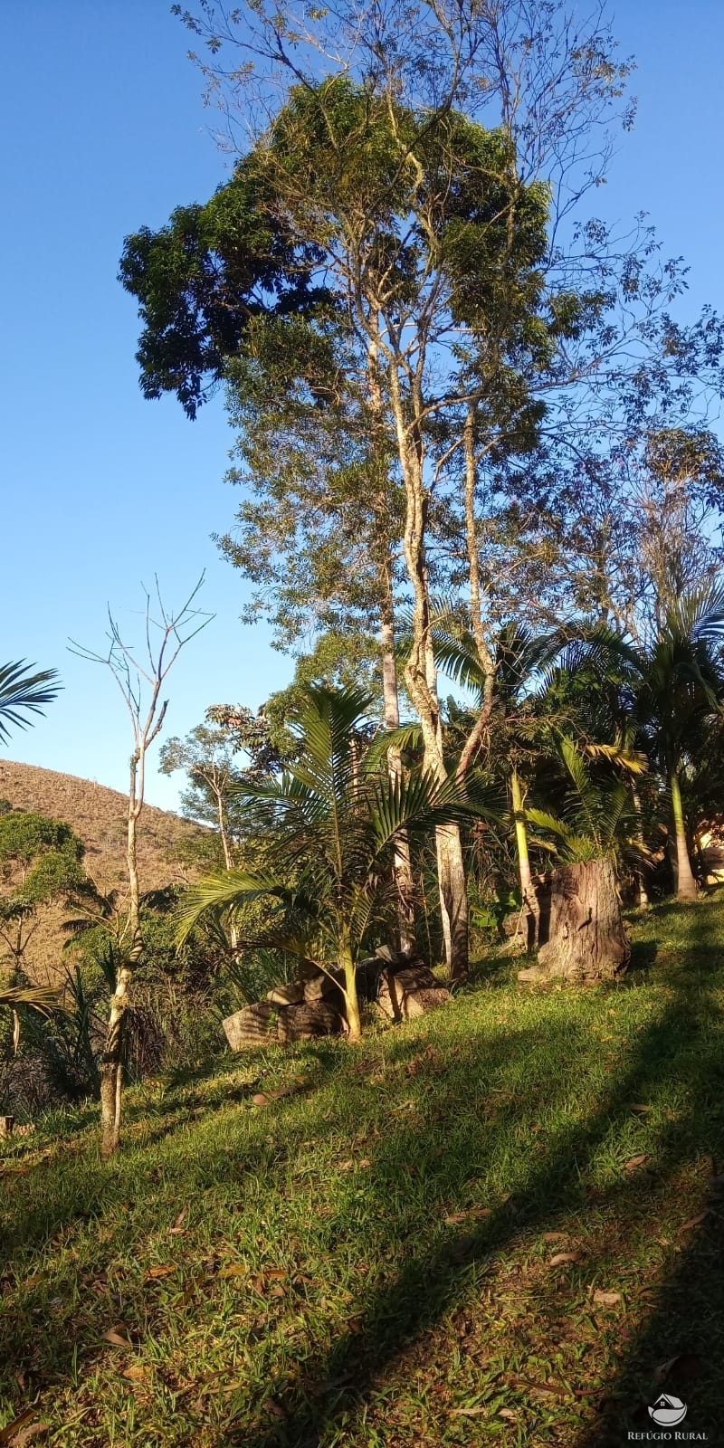 Fazenda à venda com 4 quartos, 96800m² - Foto 16