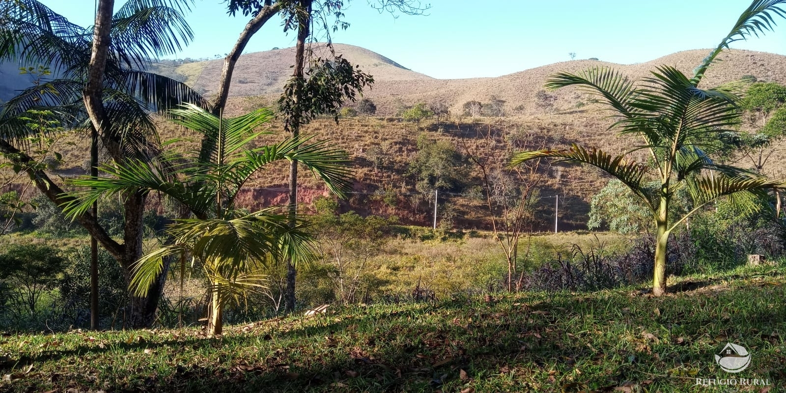 Fazenda à venda com 4 quartos, 96800m² - Foto 15