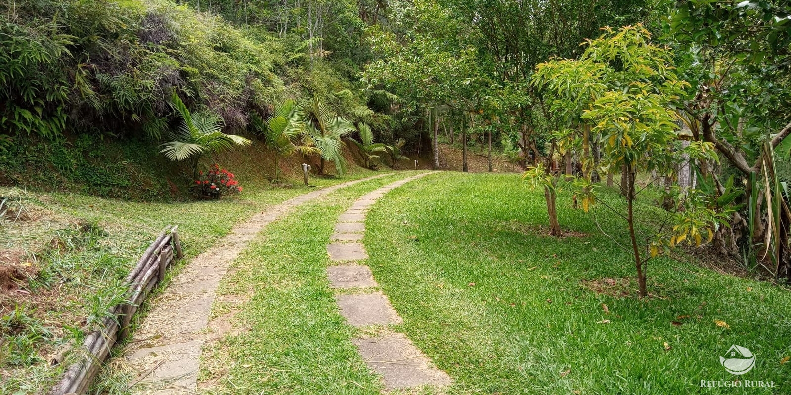 Fazenda à venda com 4 quartos, 96800m² - Foto 13