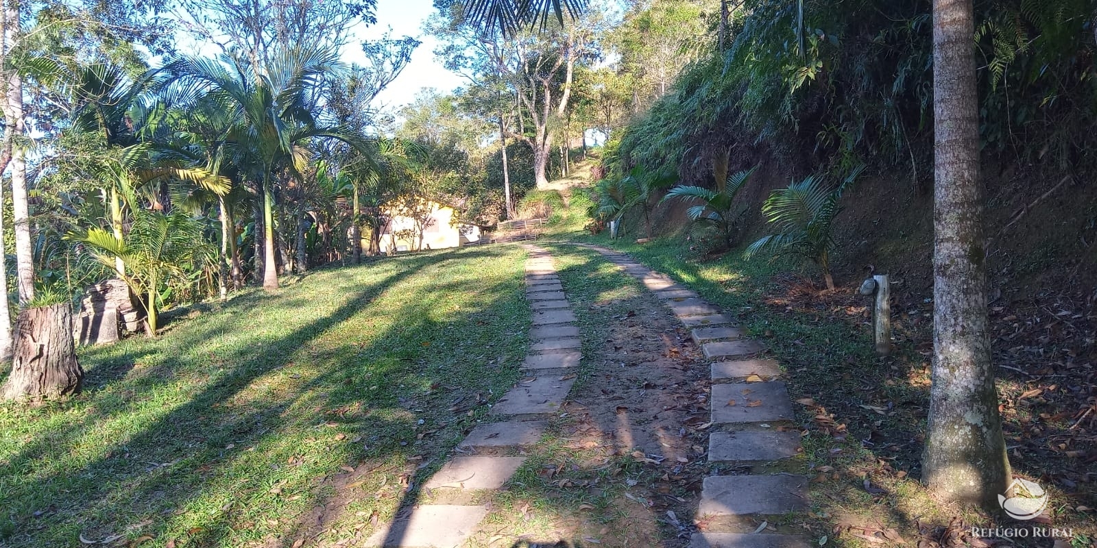 Fazenda à venda com 4 quartos, 96800m² - Foto 17