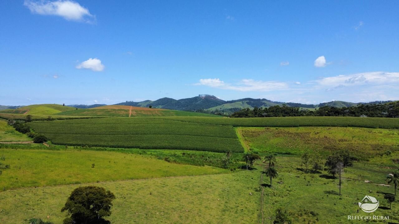 Fazenda, 82 hectares - Foto 9