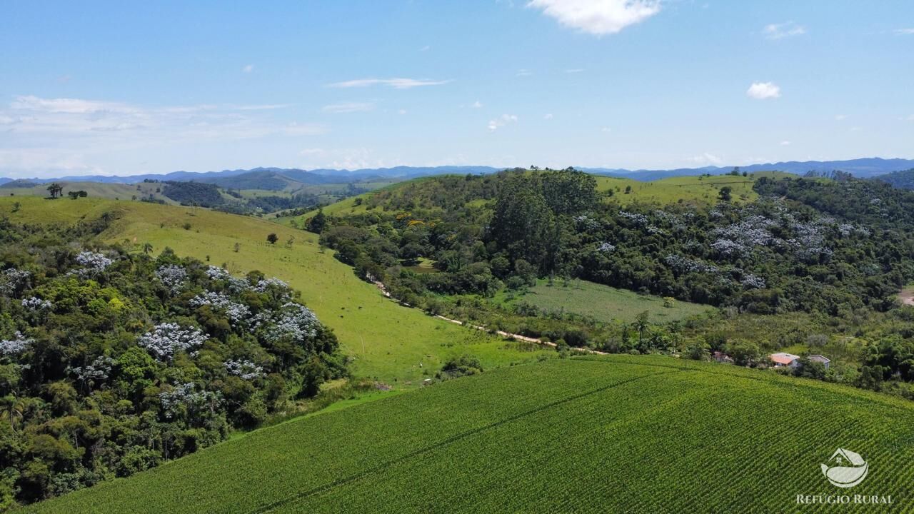 Fazenda, 82 hectares - Foto 5