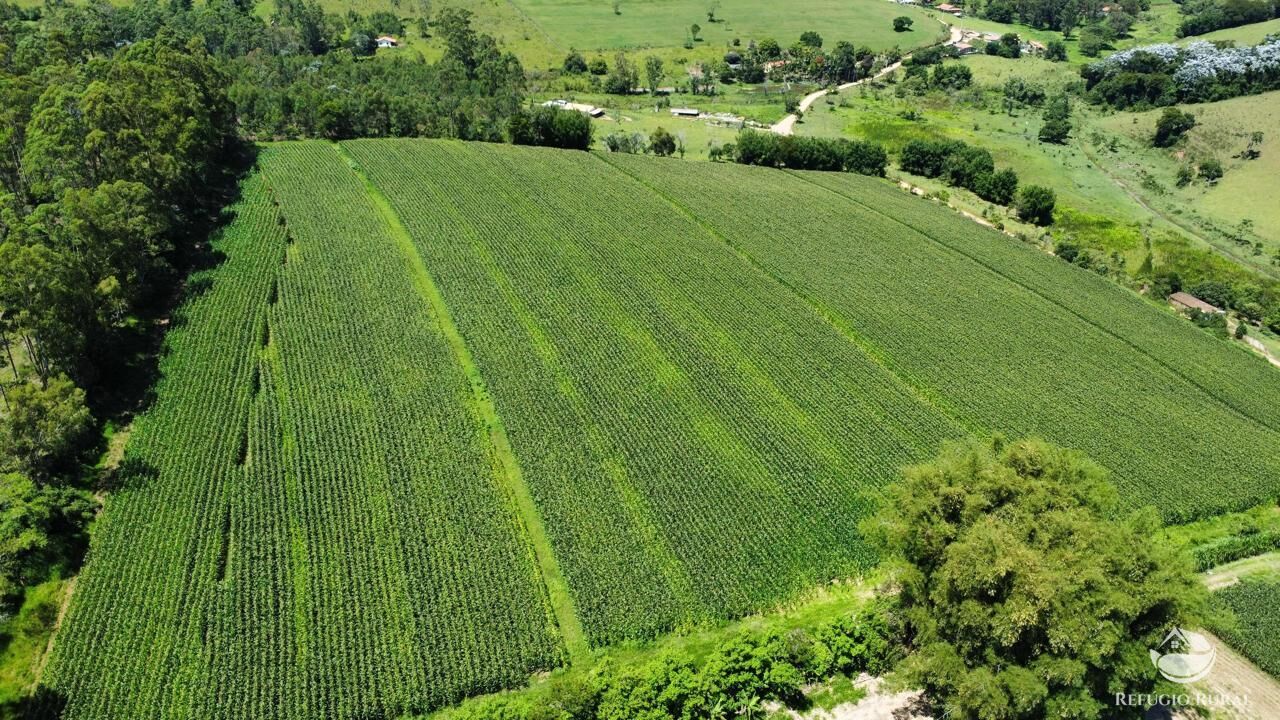 Fazenda, 82 hectares - Foto 1