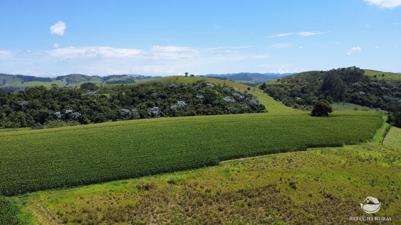 Fazenda, 82 hectares - Foto 7