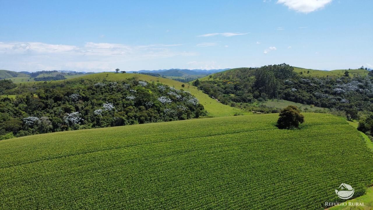 Fazenda, 82 hectares - Foto 6