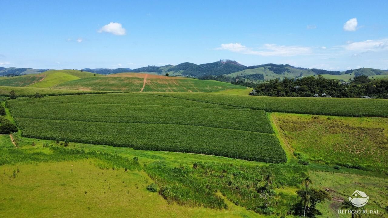 Fazenda, 82 hectares - Foto 8