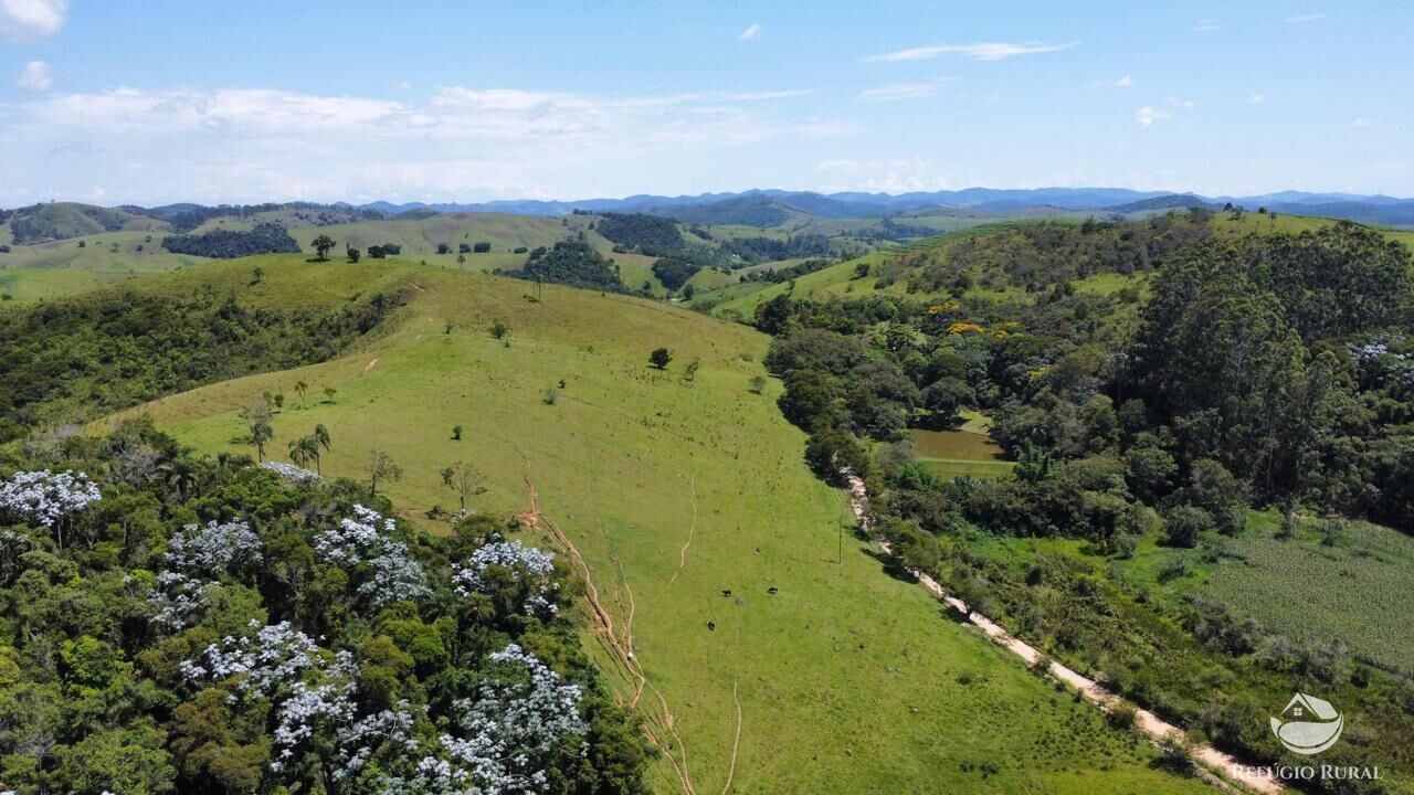 Fazenda, 82 hectares - Foto 4